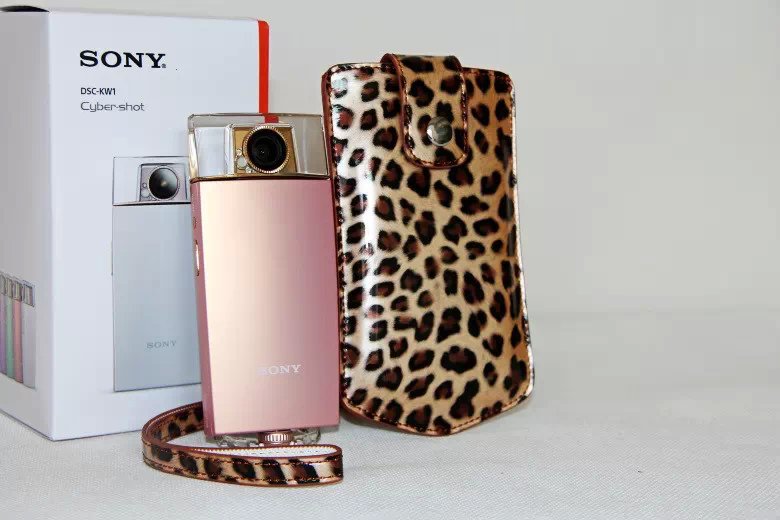 Vertical Leopard Texture PU Leather Camera Case for Sony KW1, Casio TR550/500/350/350s/600 - Brown