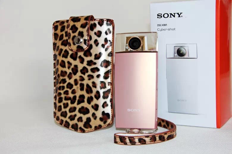 Vertical Leopard Texture PU Leather Camera Case for Sony KW1, Casio TR550/500/350/350s/600 - Brown