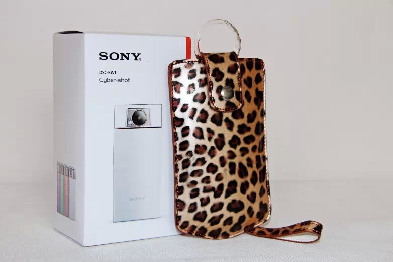 Vertical Leopard Texture PU Leather Camera Case for Sony KW1, Casio TR550/500/350/350s/600 - Brown