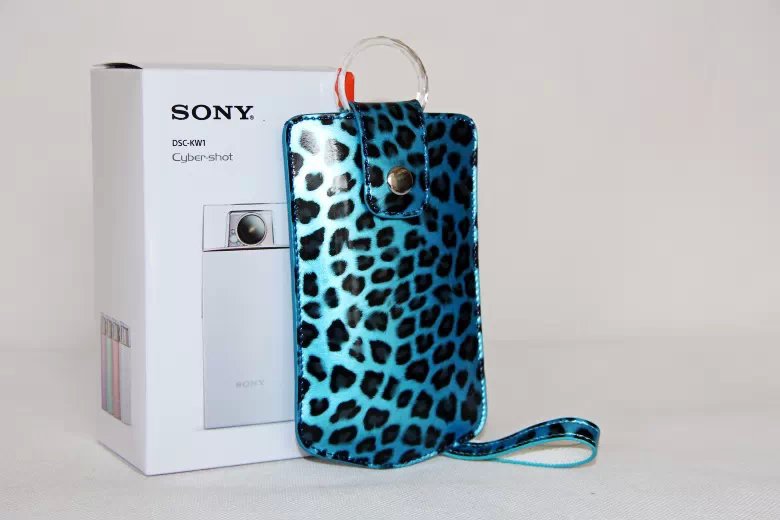 Vertical Leopard Texture PU Leather Camera Bag for Sony KW1, Casio TR550/500/350/350s/600 - Blue