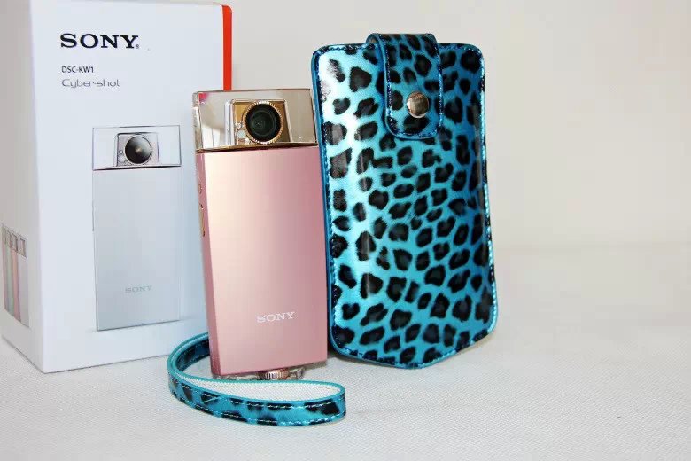 Vertical Leopard Texture PU Leather Camera Bag for Sony KW1, Casio TR550/500/350/350s/600 - Blue