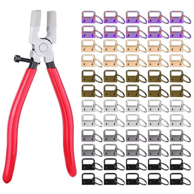 60Pcs 6 Colors Keychains Kit with 1 inch Lanyard/Pliers Keyring Clip Accessories Tool Set for DIY Handmade Crafts