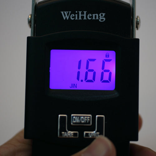 50kg/10g Portable Shopping Fishing Luggage Electronic Hanging Scale with Thermometer