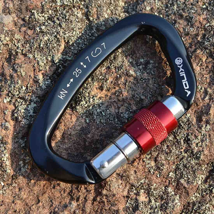 Uniqkart XD-Q9628 Professional Climbing D-shaped Master Lock Carabiner Safety Buckle Outdoor Climbing Equipment Supplies(Black)