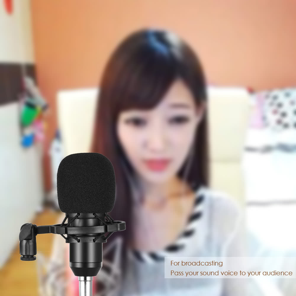 BM800 Condenser Microphone Sponge Microphone Studio Sound Recording Broadcasting with Shock Mount