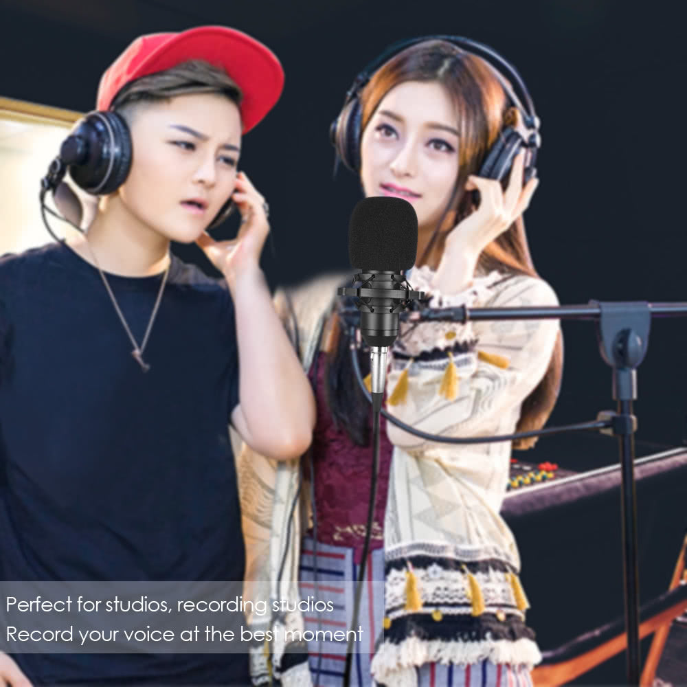 BM800 Condenser Microphone Sponge Microphone Studio Sound Recording Broadcasting with Shock Mount