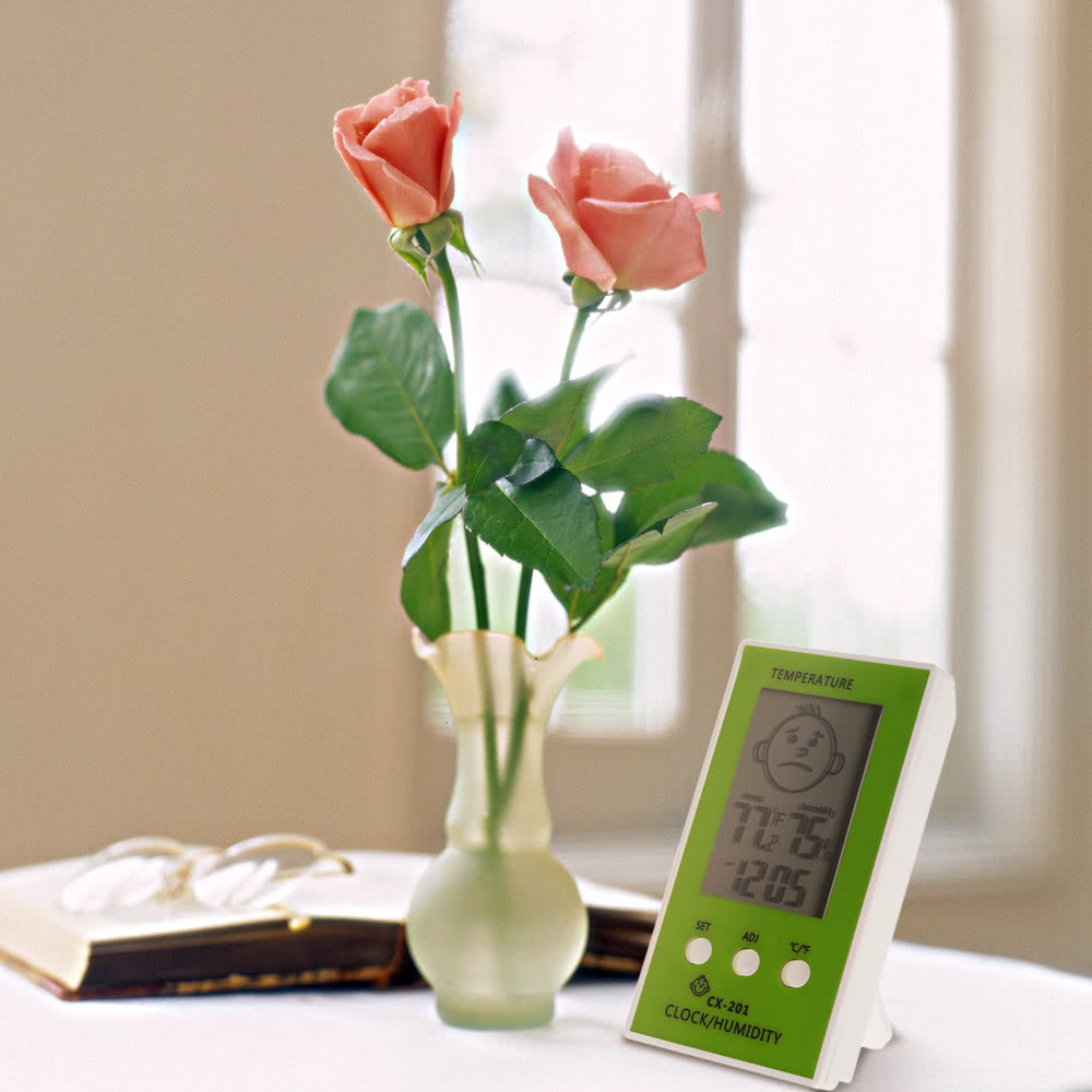 LCD Digital Hygrometer Clock Temperature Thermometer - Green