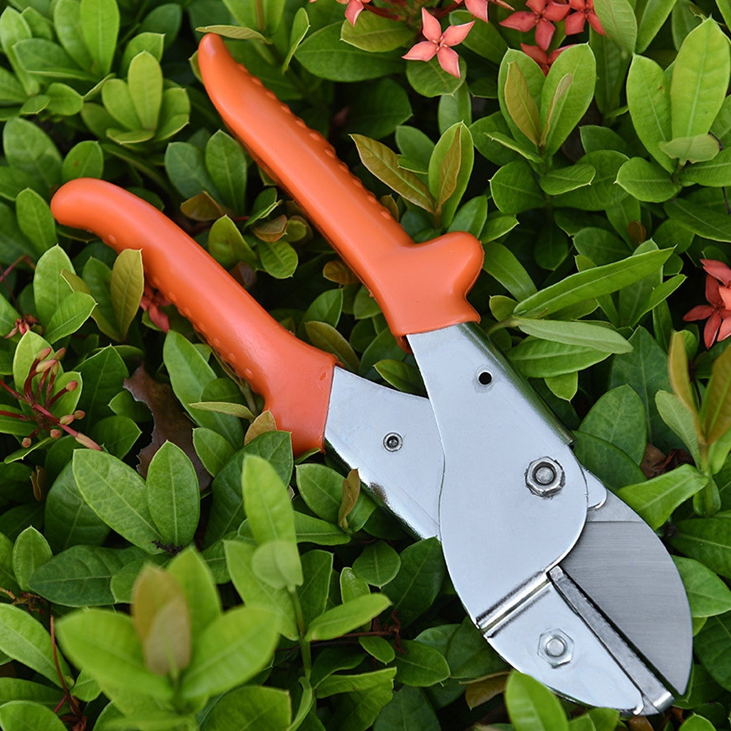 Secateurs Steel Blade Pruning Shears with Ergonomic Handles Gardening Pruning Scissors - S
