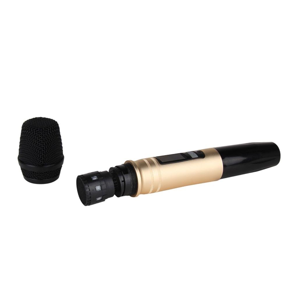 Wireless Microphone System Handheld LED Mic Speaker with - 2