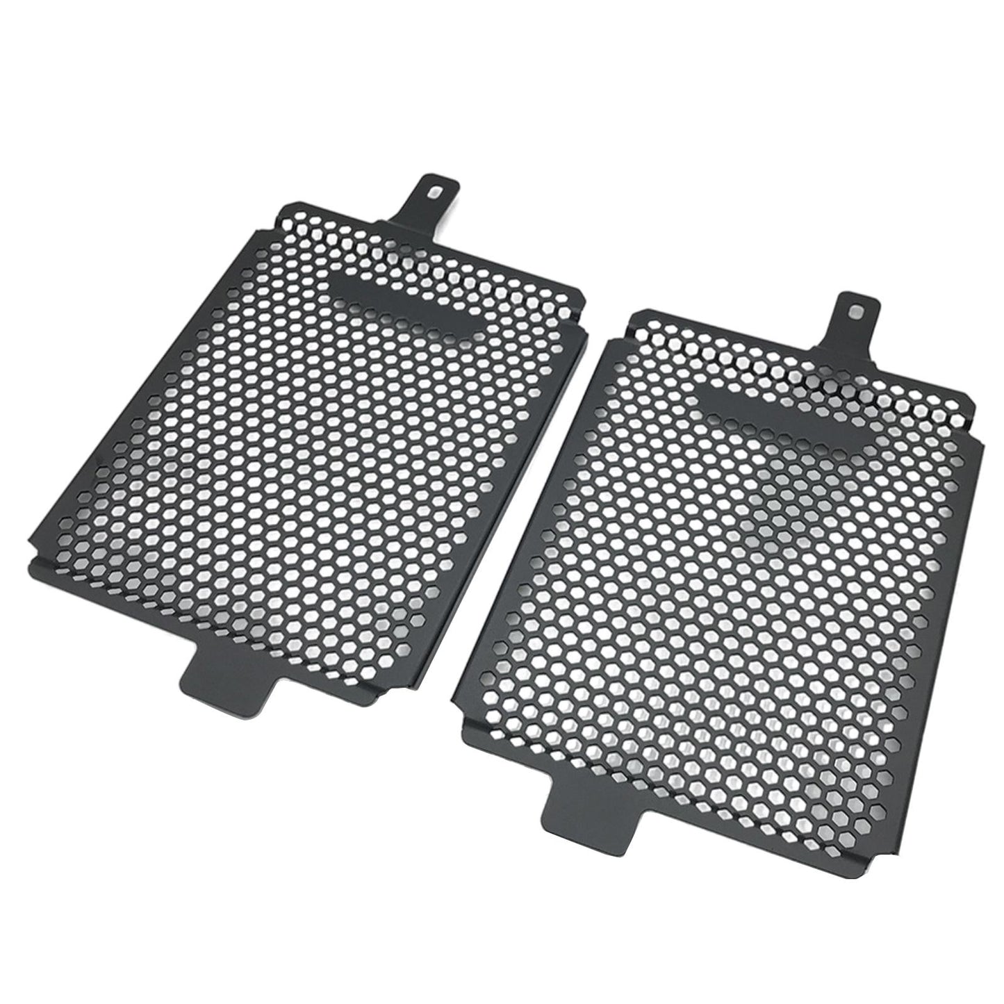 Radiator Grille Guard Protector for BMW R 1250 GS 2019-2021 Professional
