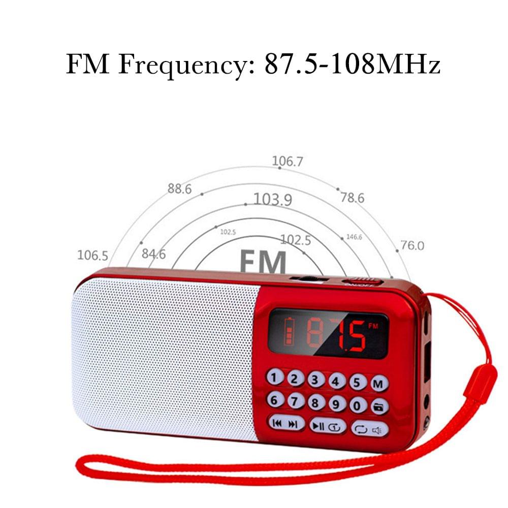 Portable FM Radio Rechargeable Wireless Speaker TF Card USB